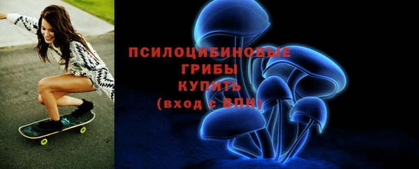 mdpv Белокуриха