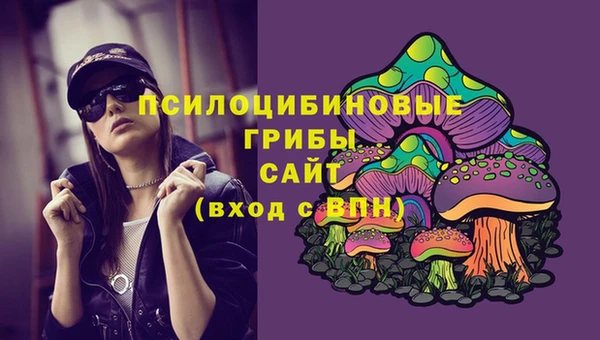 МДПВ Балахна