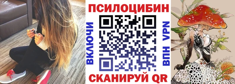 Галлюциногенные грибы мухоморы купить сайты Гороховец